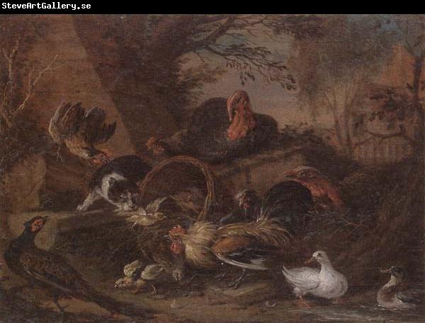 unknow artist Still life of fowl in a farmyard,with a cat stealing a bantam chick